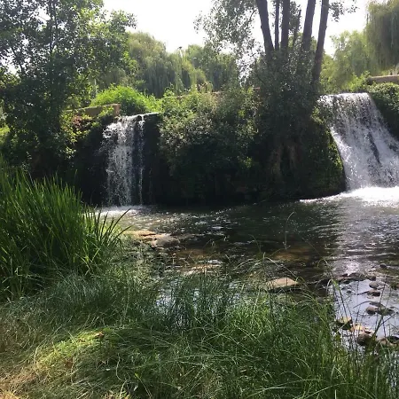 & Life Leiria